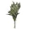 12 Pack: 21" Green Willow Eucalyptus by Ashland®